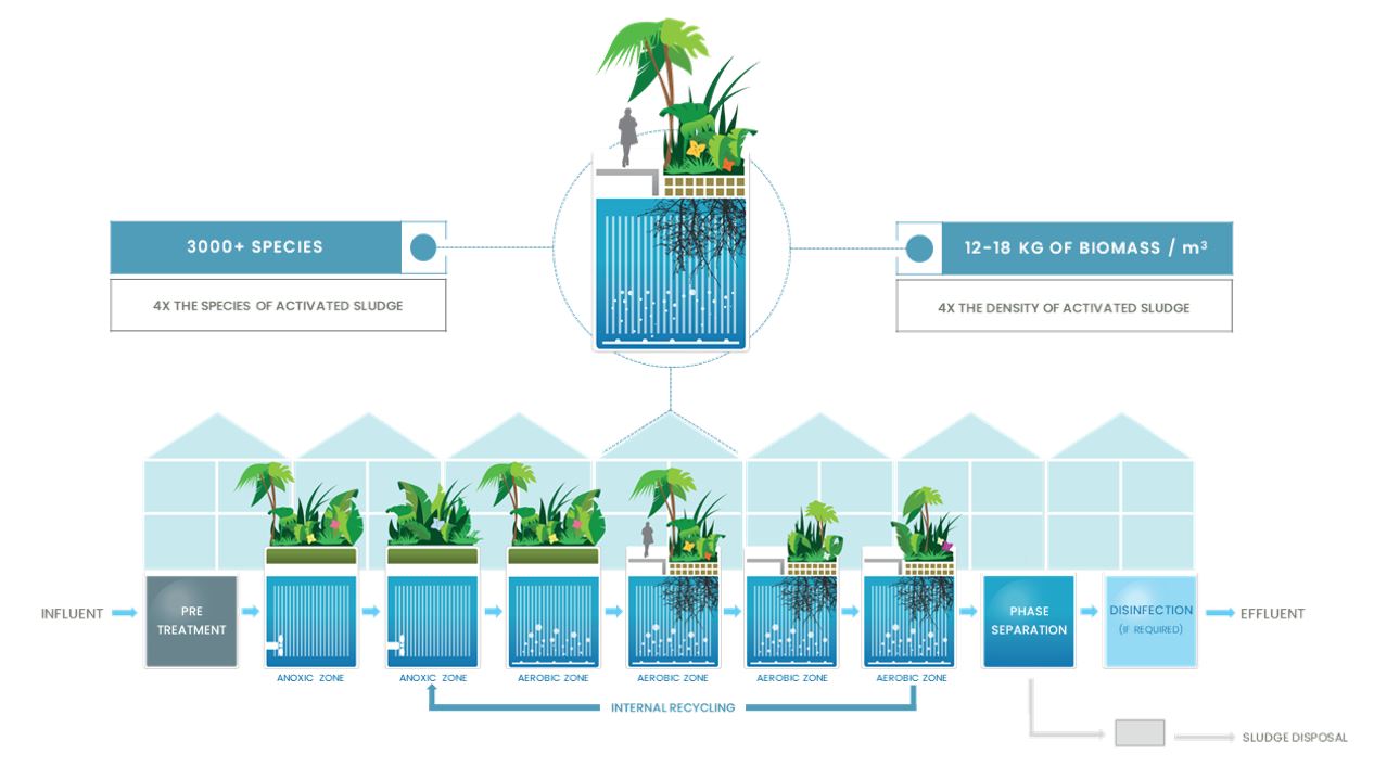 organica wastewater treatment